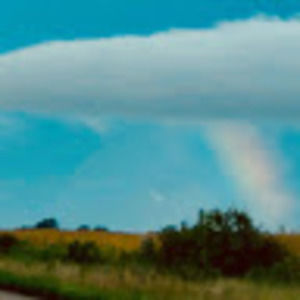 Meet your Posher, Lilly